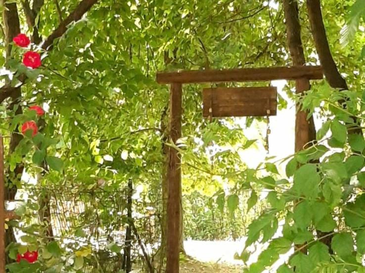 Villa Amai Lequio Tanaro Dış mekan fotoğraf